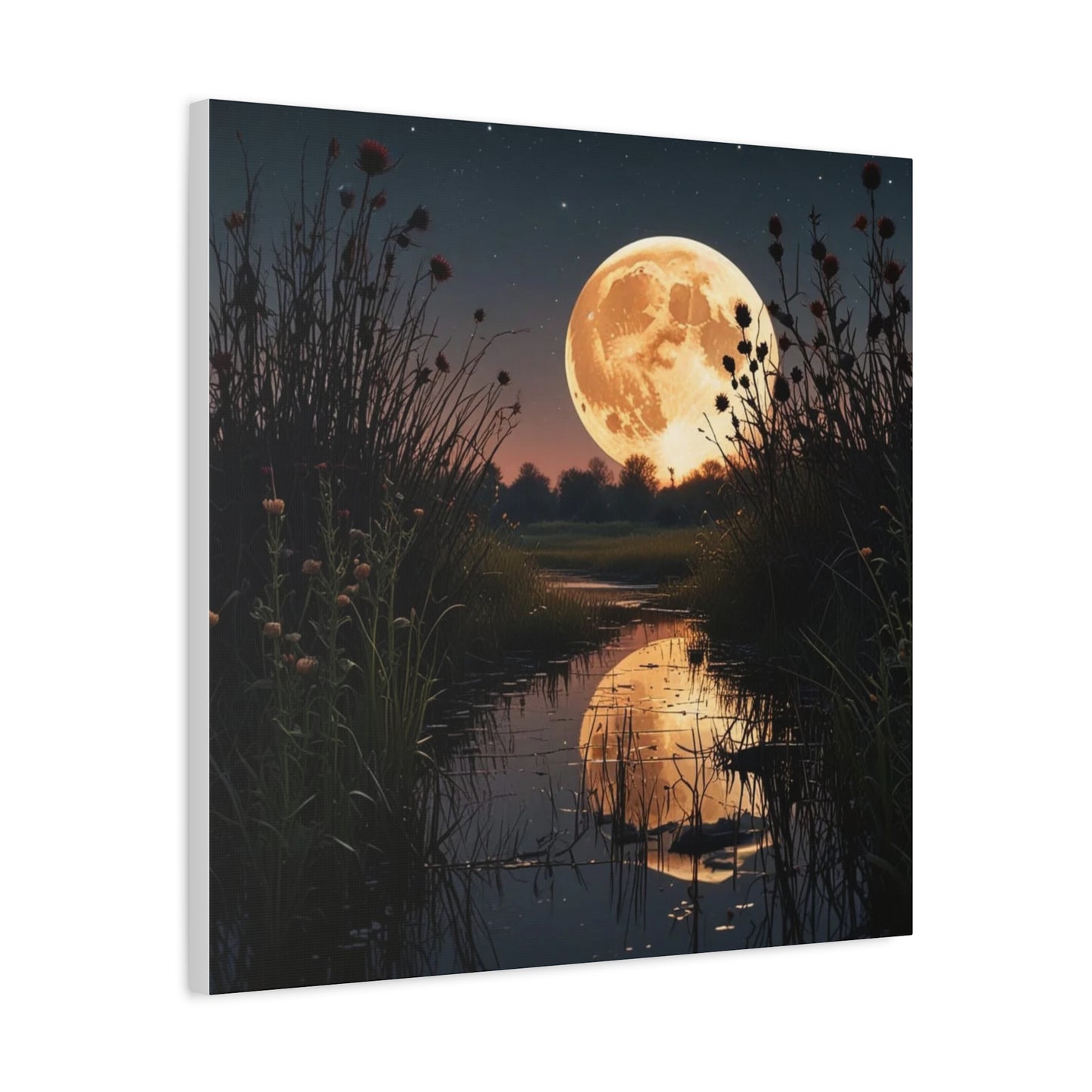 Canvas Print - Magic In the Night Sky Wall Art