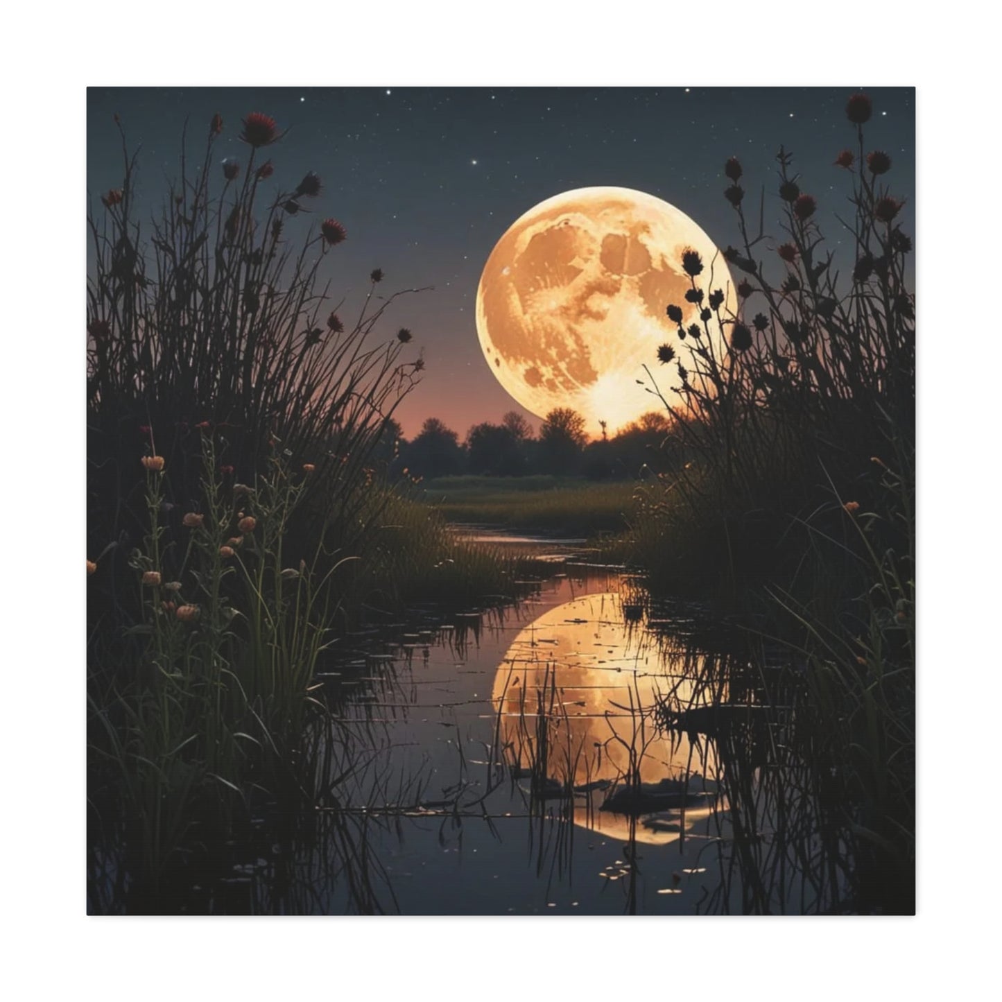 Canvas Print - Magic In the Night Sky Wall Art