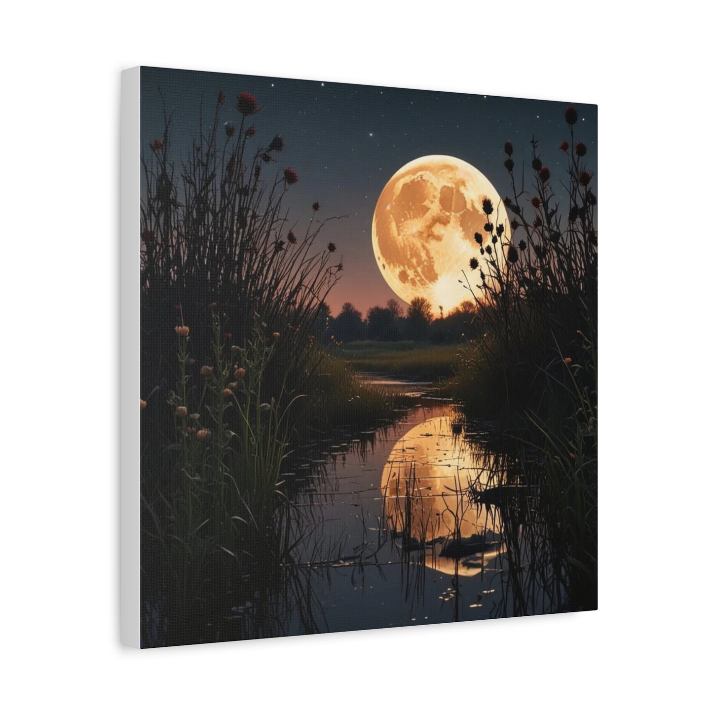 Canvas Print - Magic In the Night Sky Wall Art