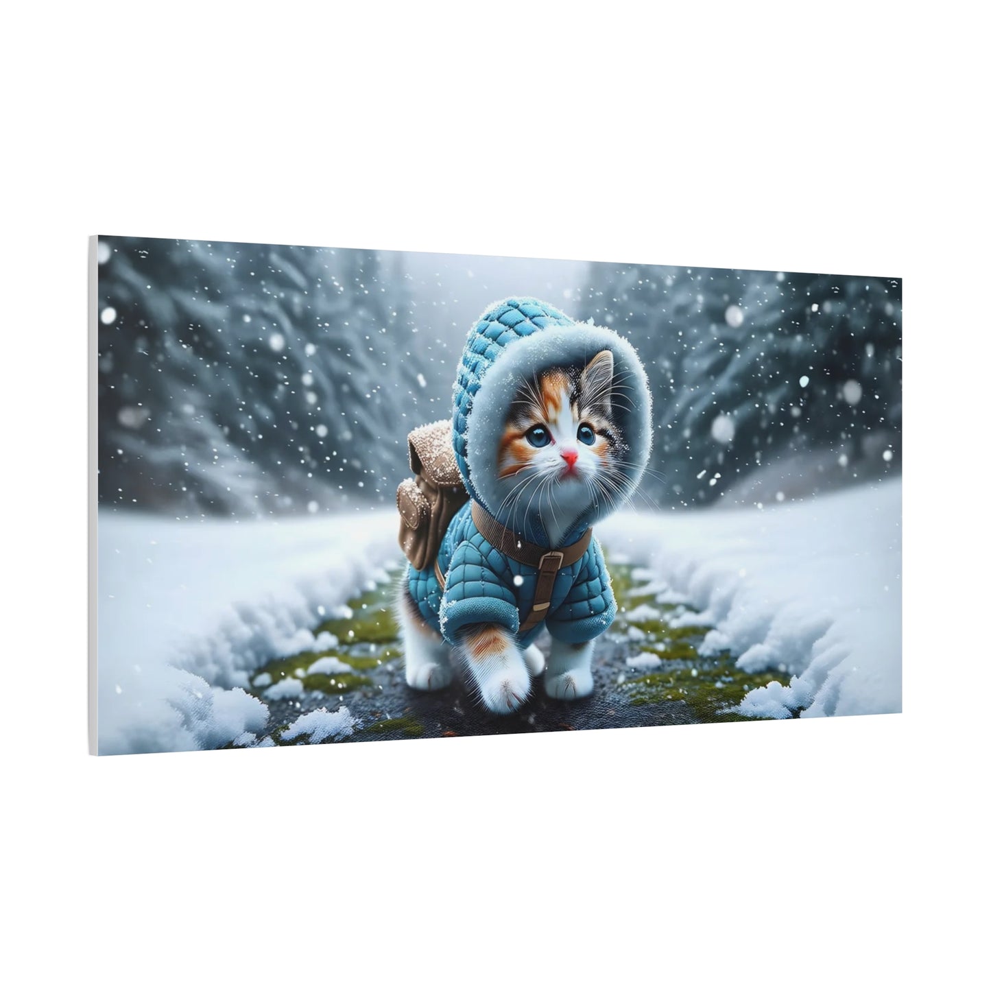 Kitten with a Coat Art