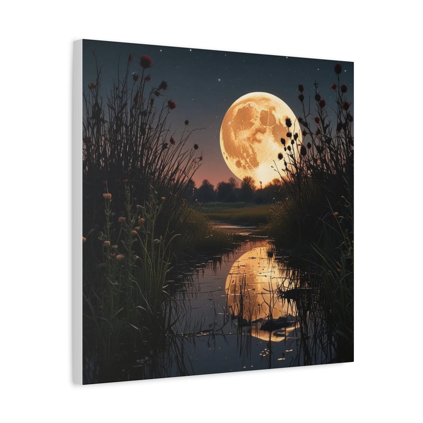 Canvas Print - Magic In the Night Sky Wall Art