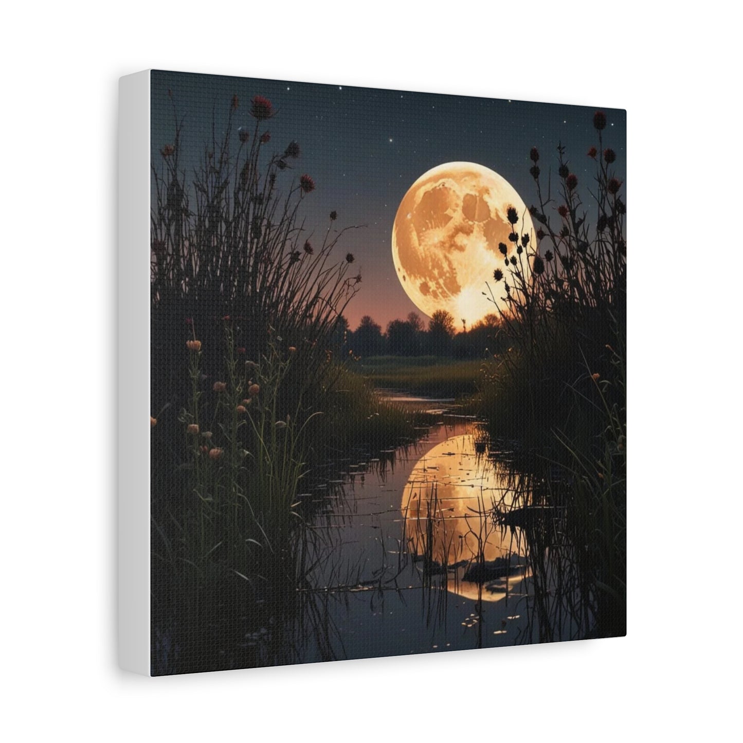 Canvas Print - Magic In the Night Sky Wall Art