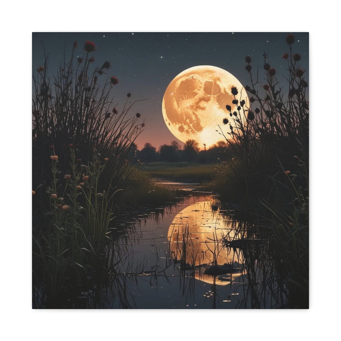 Canvas Print - Magic In the Night Sky Wall Art