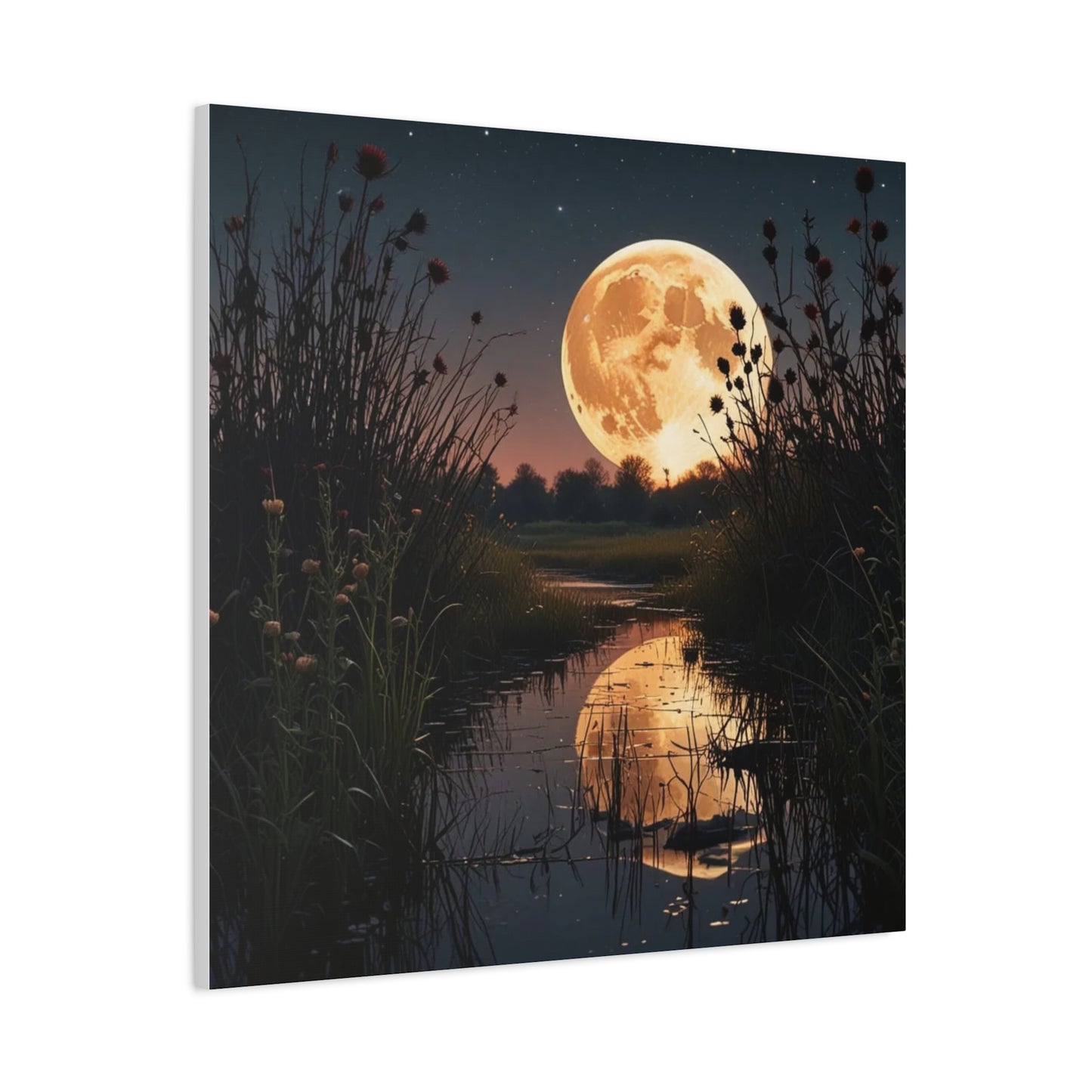 Canvas Print - Magic In the Night Sky Wall Art
