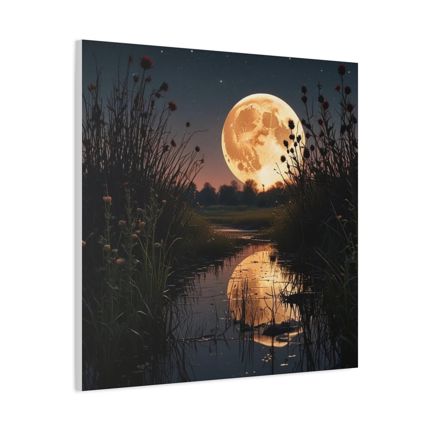 Canvas Print - Magic In the Night Sky Wall Art