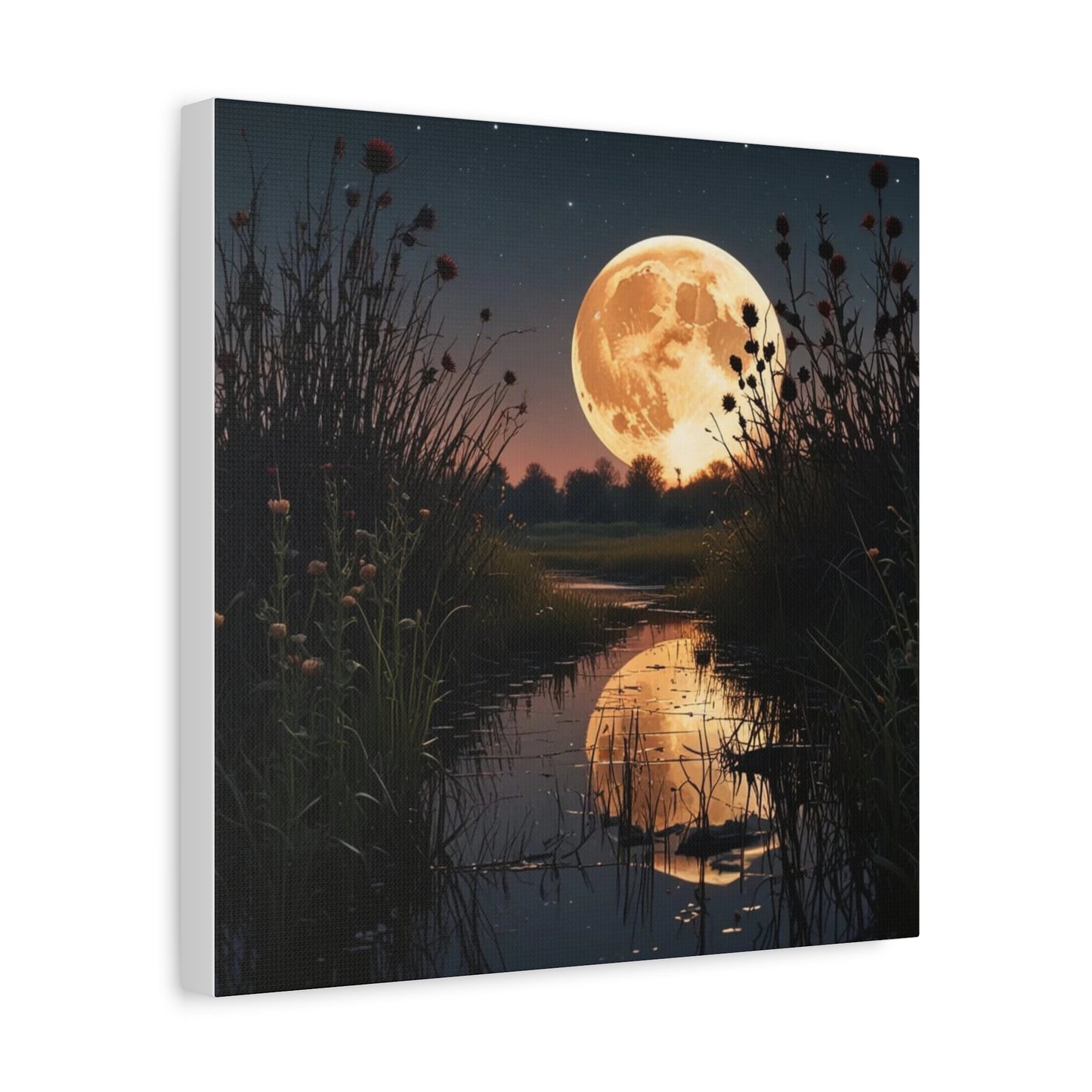 Canvas Print - Magic In the Night Sky Wall Art
