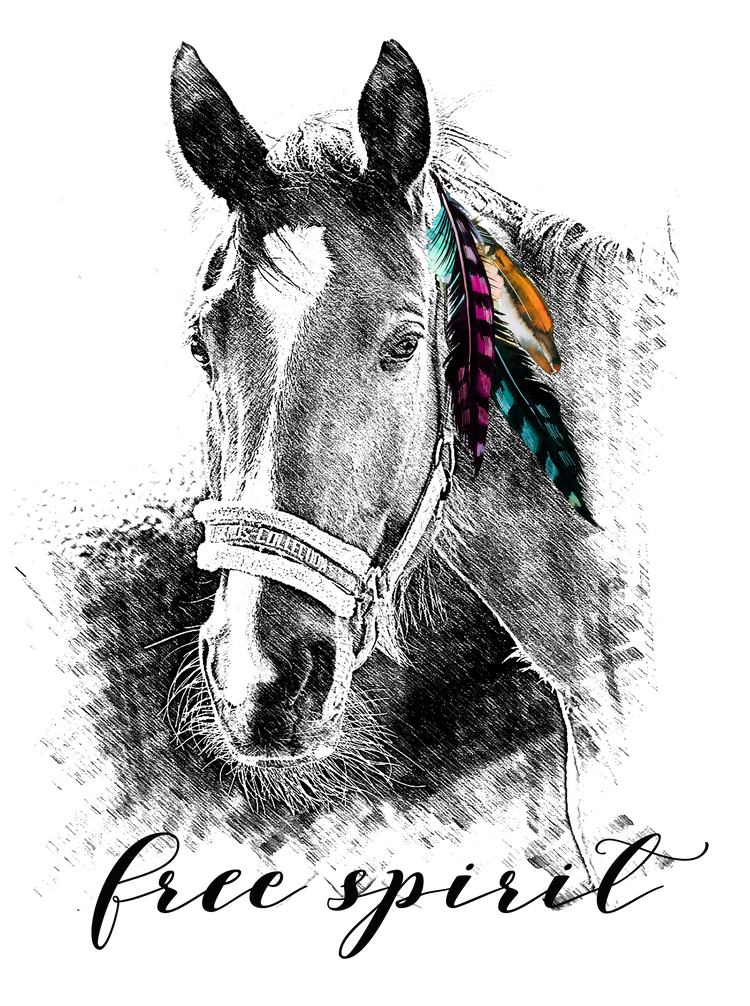 Country and Western Shirts
