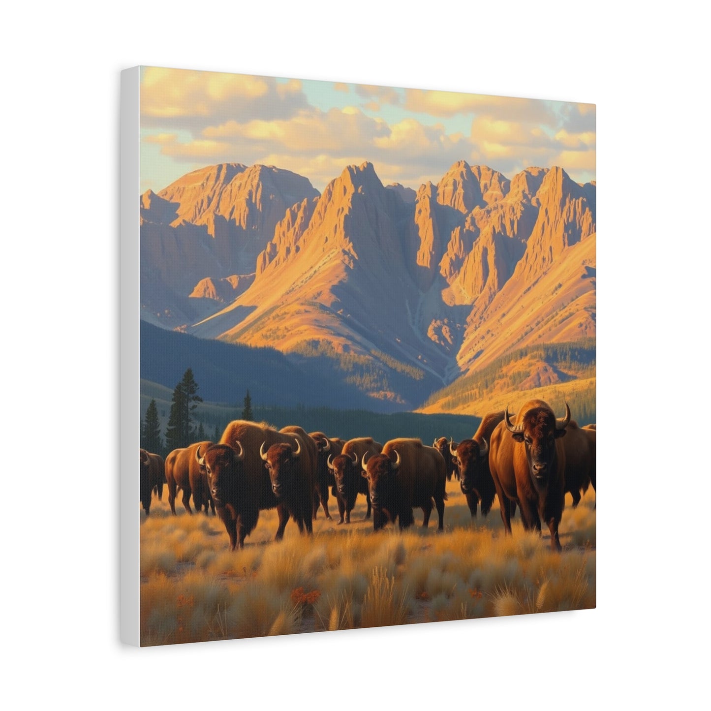 Canvas Print -Buffalo at the Black Hills Wall Art