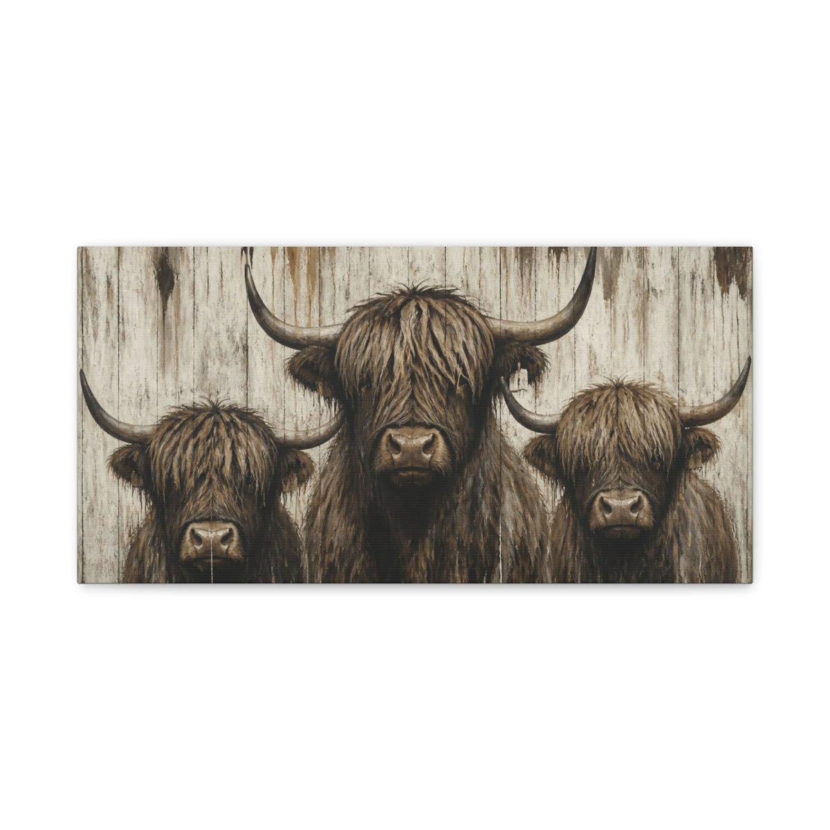 Highland Cow Trio Matte Stretched Canvas Wall Art — Rustic Farmhouse Animal Print