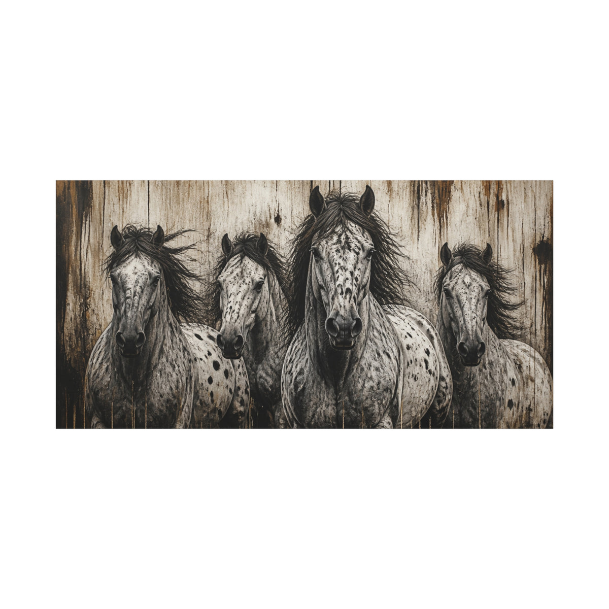 Appaloosa Horses Matte Canvas Wall Art — Stretched 1.25"