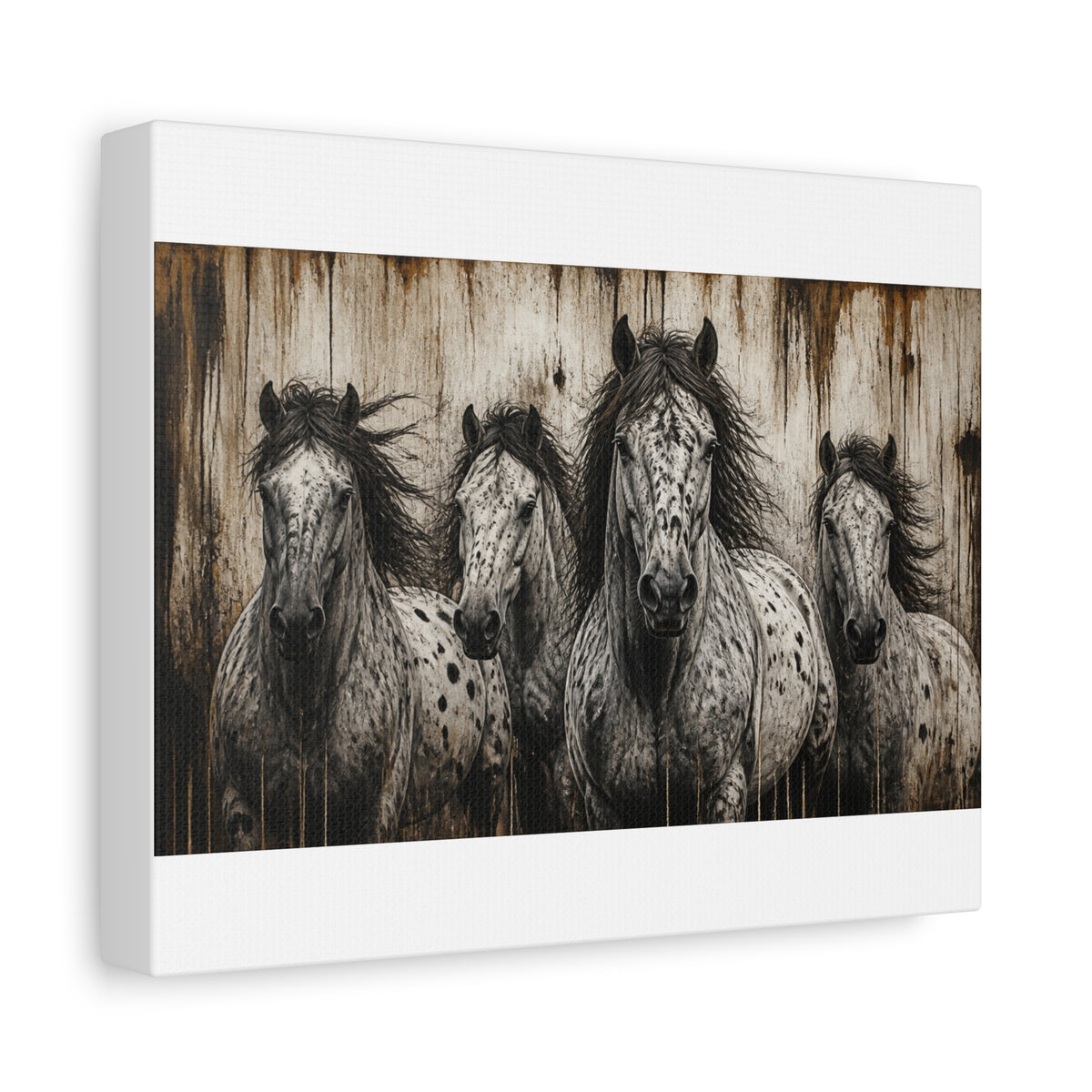 Appaloosa Horses Matte Canvas Wall Art — Stretched 1.25"