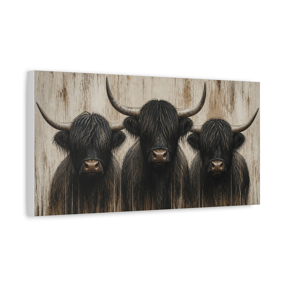 Highland Cow Trio Matte Stretched Canvas Wall Art — Rustic Farmhouse Animal Print