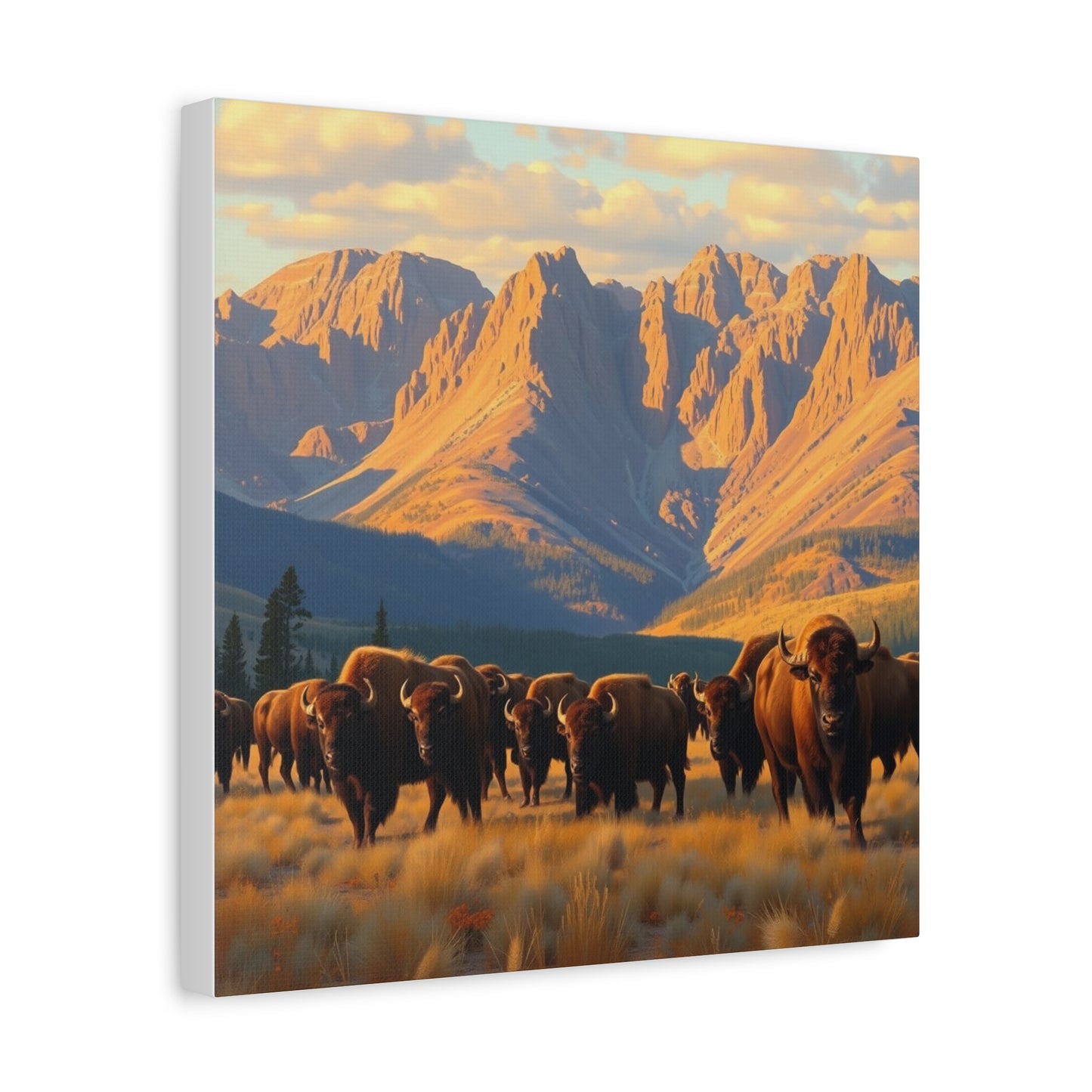 Canvas Print -Buffalo at the Black Hills Wall Art