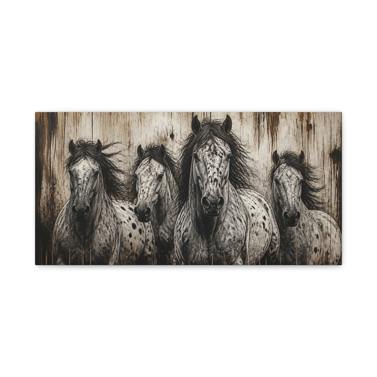 Appaloosa Horses Matte Canvas Wall Art — Stretched 1.25"
