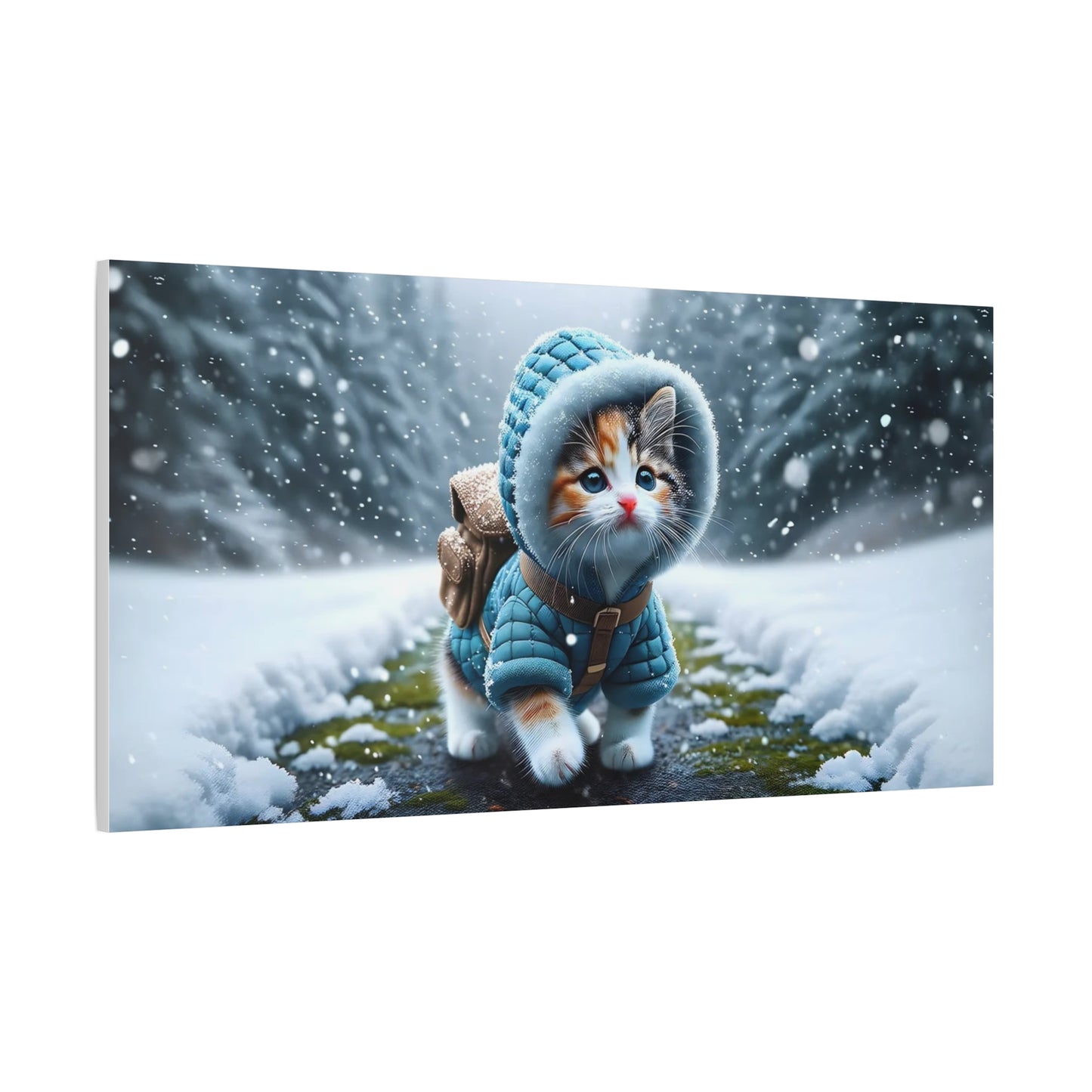 Kitten with a Coat Art