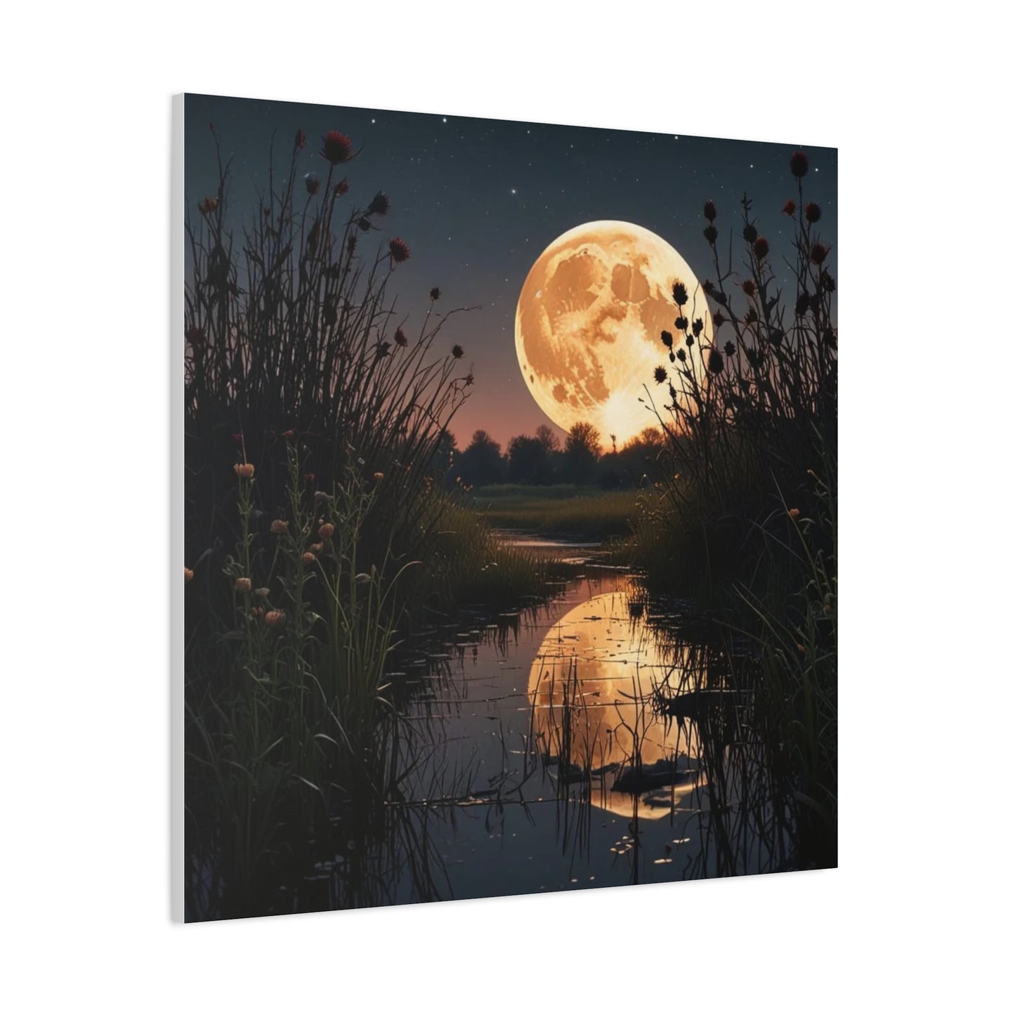 Canvas Print - Magic In the Night Sky Wall Art