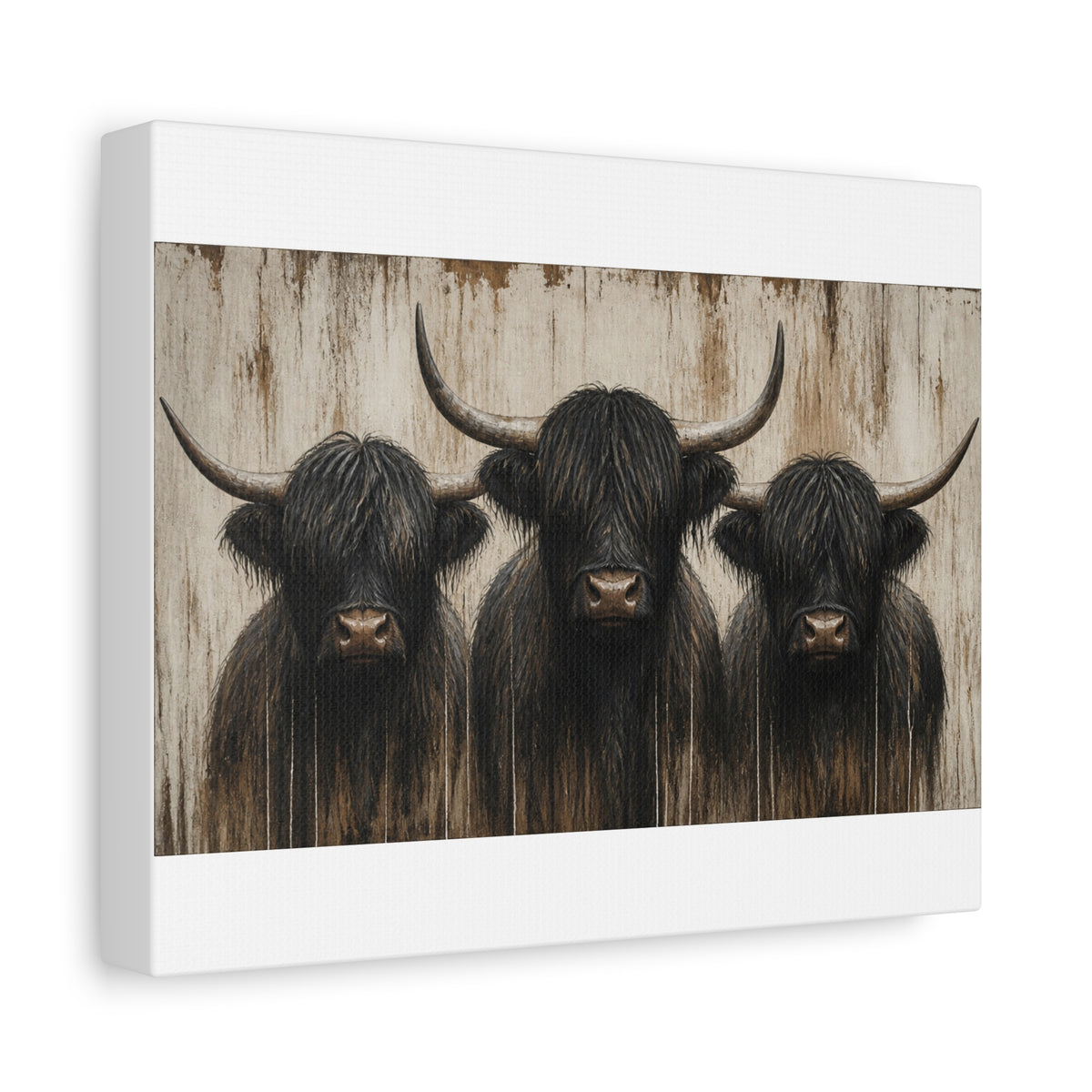 Highland Cow Trio Matte Stretched Canvas Wall Art — Rustic Farmhouse Animal Print