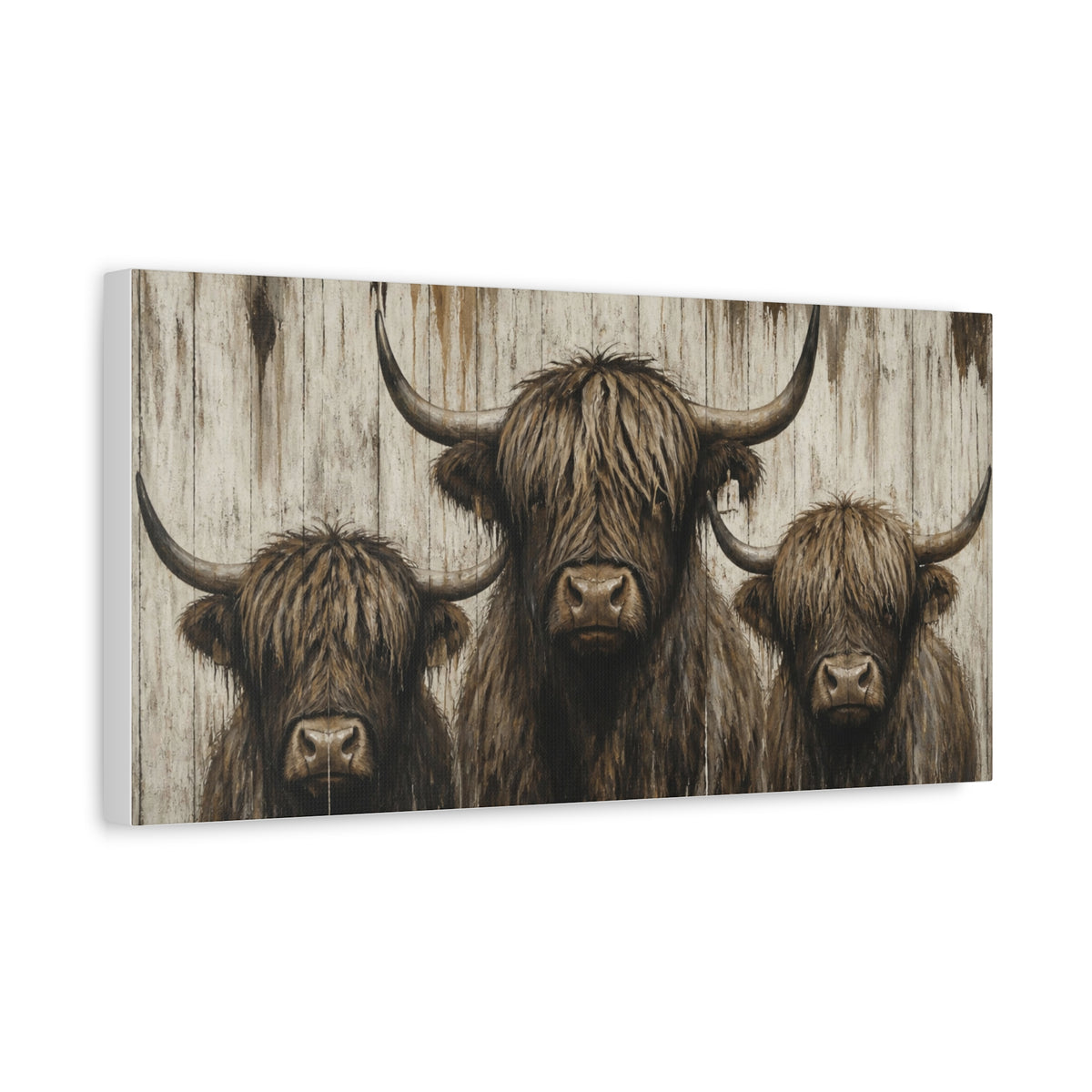 Highland Cow Trio Matte Stretched Canvas Wall Art — Rustic Farmhouse Animal Print