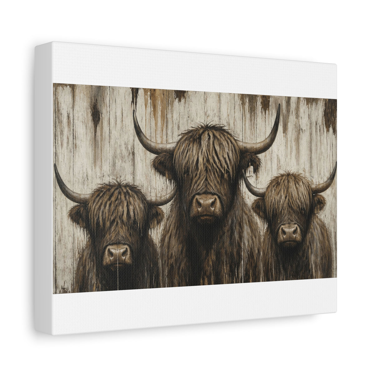 Highland Cow Trio Matte Stretched Canvas Wall Art — Rustic Farmhouse Animal Print