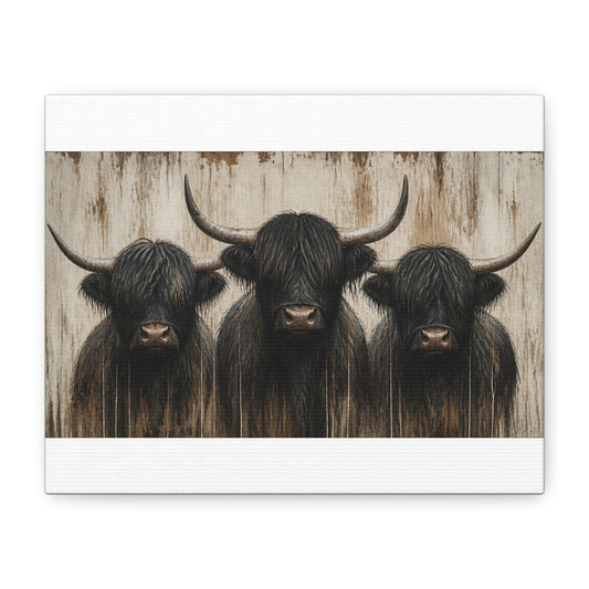 Highland Cow Trio Matte Stretched Canvas Wall Art — Rustic Farmhouse Animal Print