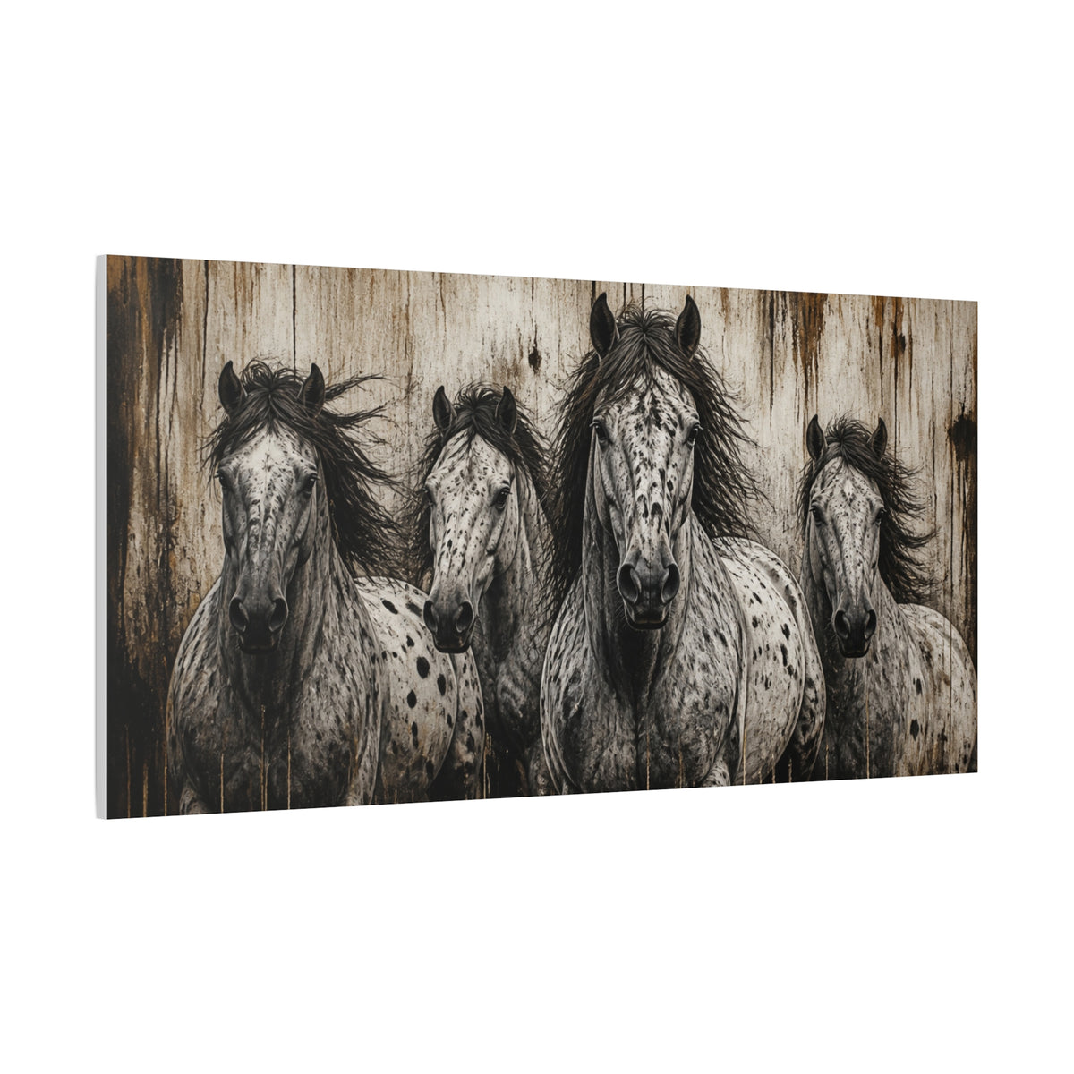 Appaloosa Horses Matte Canvas Wall Art — Stretched 1.25"